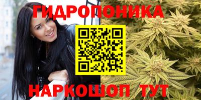 jwh Партизанск