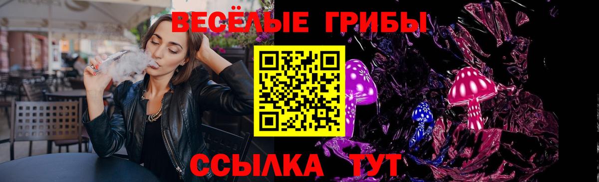 Псилоцибиновые грибы Psilocybine cubensis Пугачёв